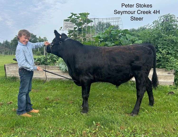 Peter Stokes