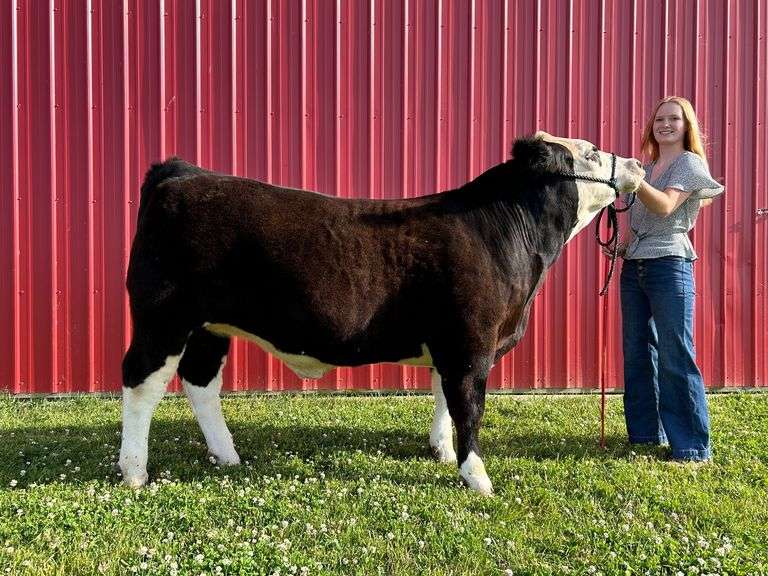 Brenna Kiesling - Reserve Champion Medium Weight Beef Steer