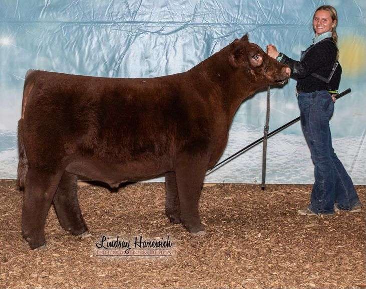 Olivia Birchmeier - Champion Beef Steer and Champion Homegrown Beef Steer