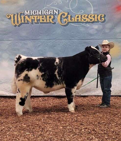 Kent Vitek