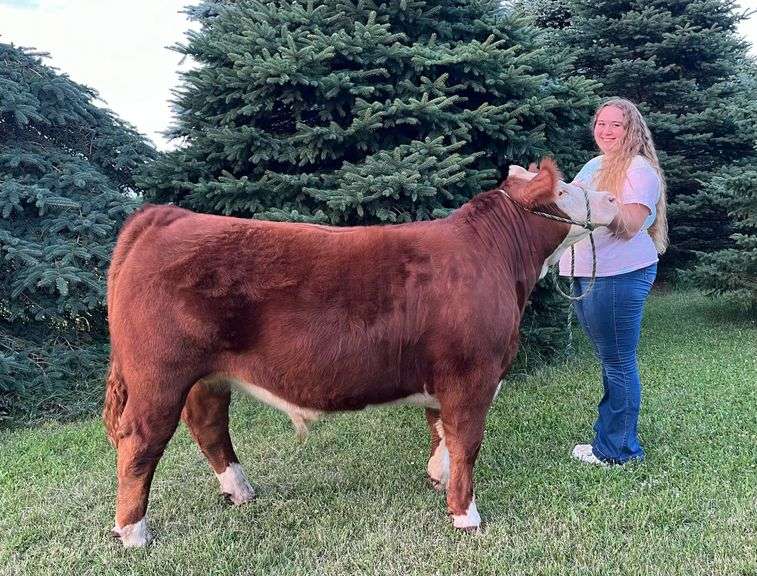 Hailey Throne - Champion Light Weight Beef Steer