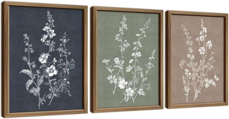 ANERZA Framed Boho Wall Art Decor (12x16) image