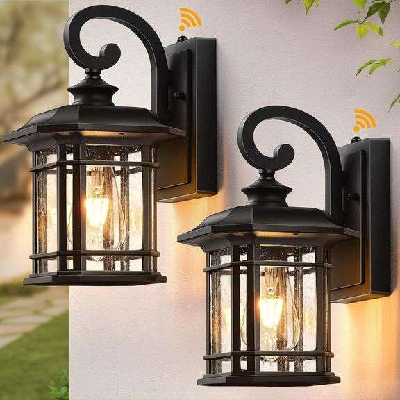VIANIS Black Outdoor Light Fixture 2 Pack image