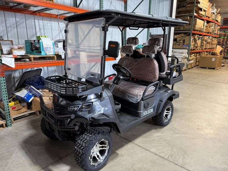 2025 SDLGC80 Electric Golf Cart image