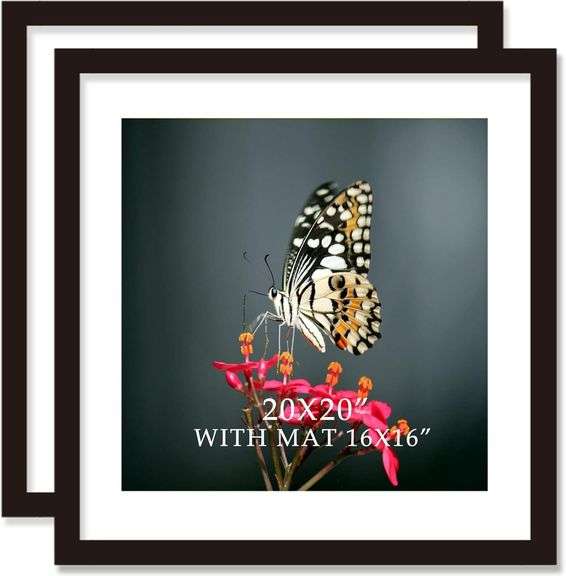Black 20x20 Frame with Mat (2) 16x16 Solid Wood image