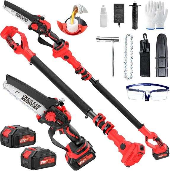 2-in-1 Cordless Pole Saw & Mini Chainsaw, 21V image