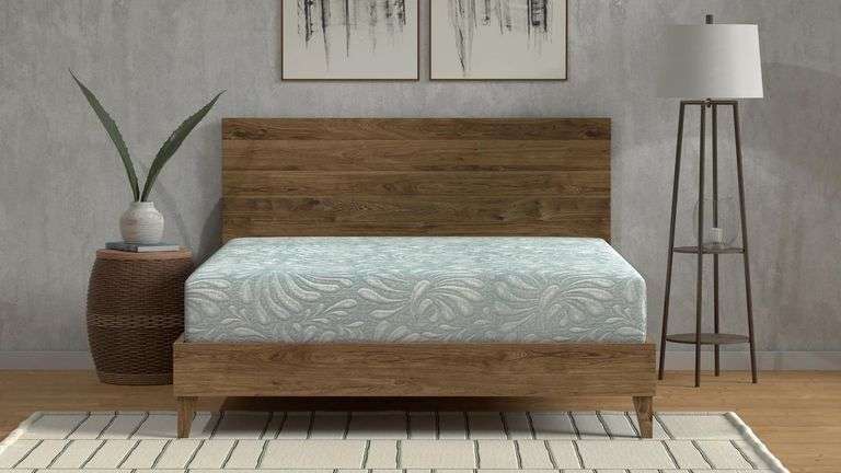Bellanest Gemma Medium Memory Foam Queen Mattress Online Retail: $799 image