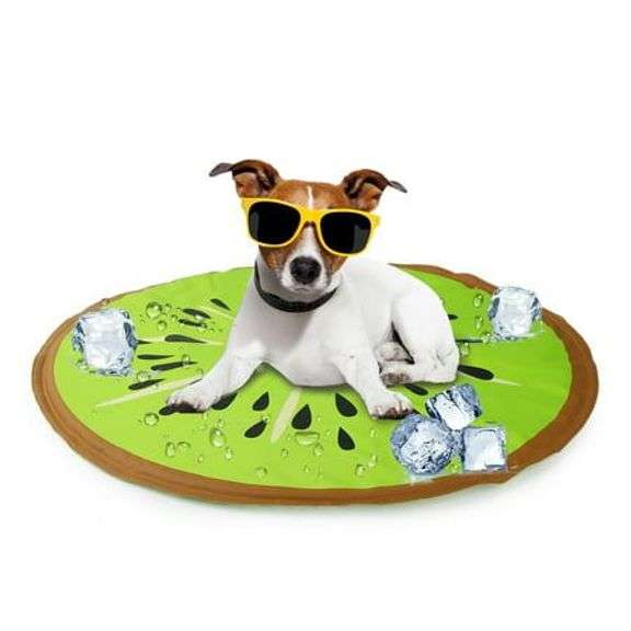 All for Paws Chill-Out Cooling Mat: Small Dogs image