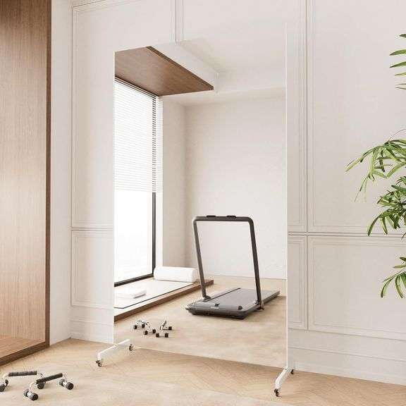 brisafe Home Gym Mirror 360  Swivel, 67x40" White image