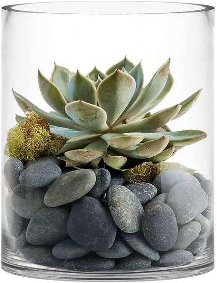 CYS Excel Large Clear Glass Vase (12x10") image