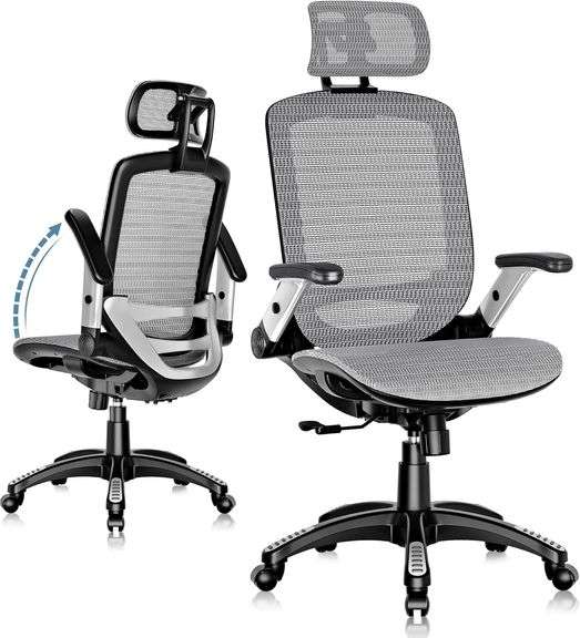 GABRYLLY Ergonomic Office Chair, High Back Chair image