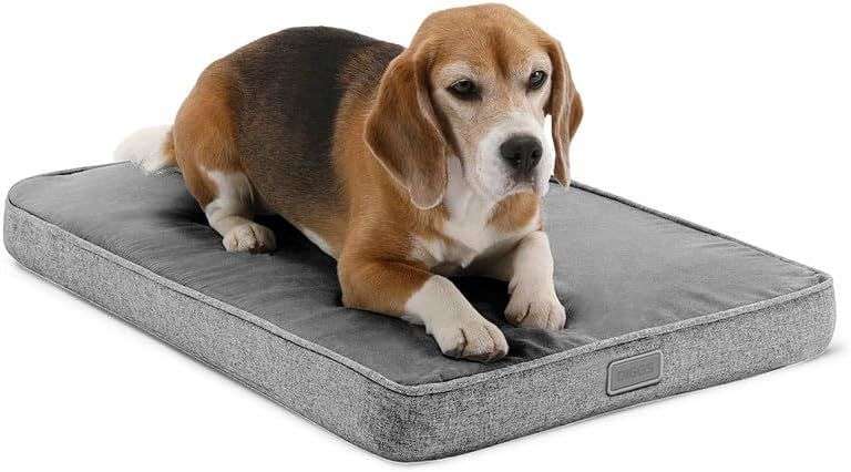 Diggs Snooz Memory Foam Dog Bed - Grey, Medium image