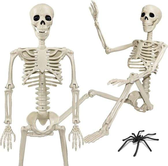 36" Skeleton Halloween Skeleton: Movable image