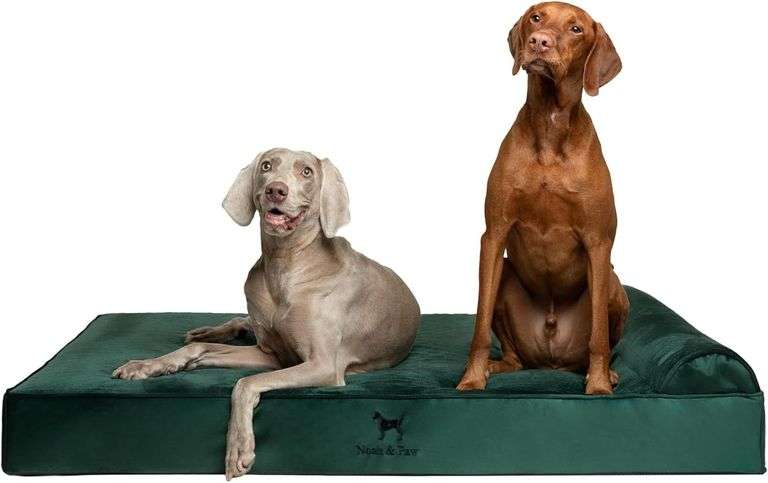 NOAH & PAW Giant Dog Bed XXL 55x45x9.5 image