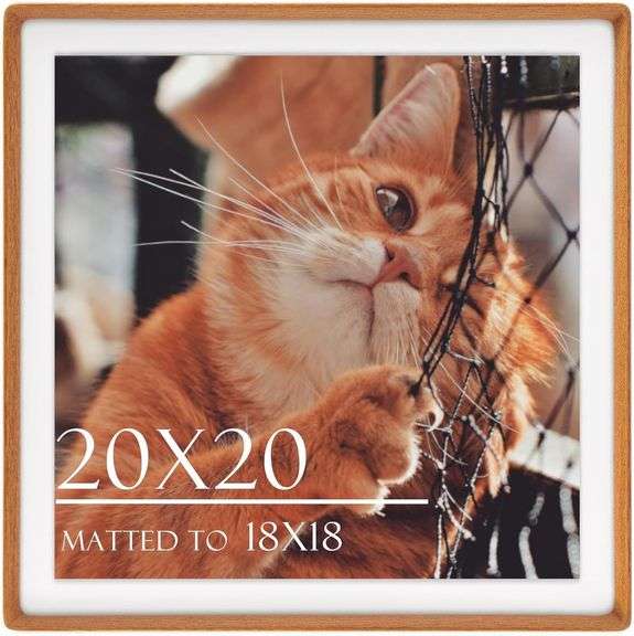 Natural Teak 20x20 Picture Frame, 18x18 Mat image