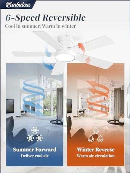 42 Inch Ceiling Fan with Lights & Remote