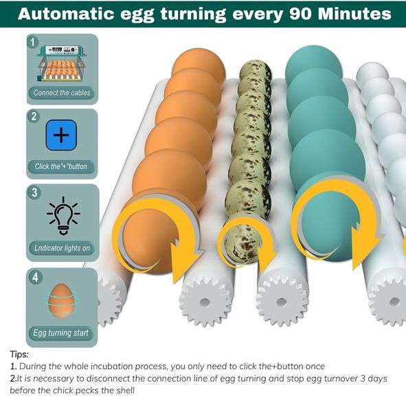 36-Egg Incubator, Auto Turn & Humidity Monitor