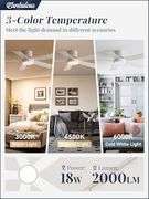 42 Inch Ceiling Fan with Lights & Remote