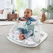 Fisher-Price Sit-Me-Up Floor Seat in Grey/White