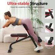 Roman Chair Bench for Glute, Hamstring & Back
