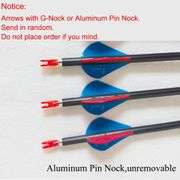 Archery Carbon Arrow 28-30 inch, 12PCS