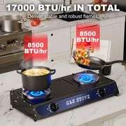 2 Burners Outdoor Portable Camping Gas Stove