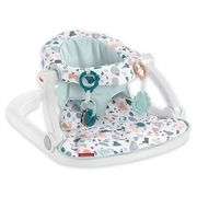 Fisher-Price Sit-Me-Up Floor Seat in Grey/White