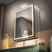 LED Medicine Mirror Cabinet, Anti-Fog (20 * 28 in)