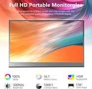 15.6" Portable Monitor, 1080P USB-C HDMI