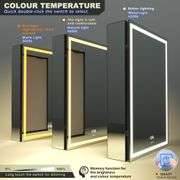 LED Medicine Mirror Cabinet, Anti-Fog (20 * 28 in)