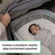 Ingenuity 3-in-1 Bassinet, Playard & Shade