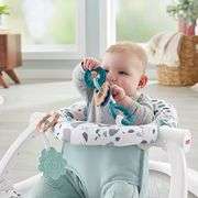 Fisher-Price Sit-Me-Up Floor Seat in Grey/White