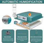 36-Egg Incubator, Auto Turn & Humidity Monitor