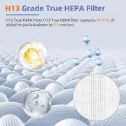 HEPA Replacement Filter for Clorox Air Purifier