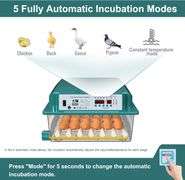 36-Egg Incubator, Auto Turn & Humidity Monitor