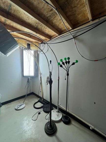 Assorted Floor Lamps and Grow Light image