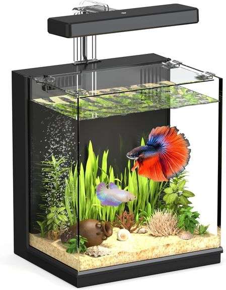 Beta Fish Tank, 2 Gallon with Filter & Light image