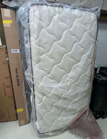 Twin Bed Frame and Mattress image