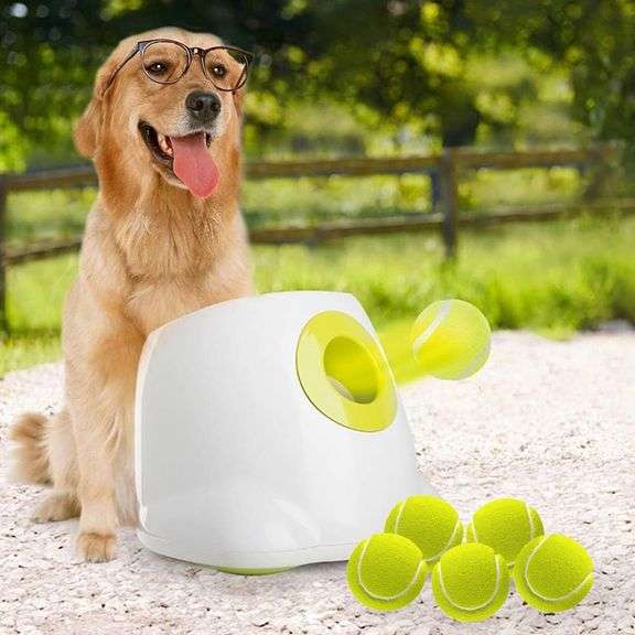 AFP Automatic Dog Ball Launcher for Dogs image