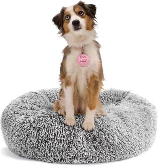 Dog Bed (Gray, XX-Large-35IN) image