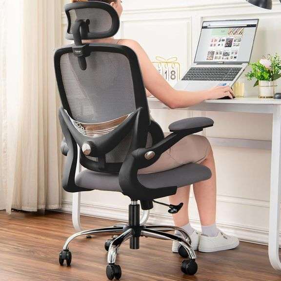 Ergonomic Mesh Office Chair, Lumbar Support image