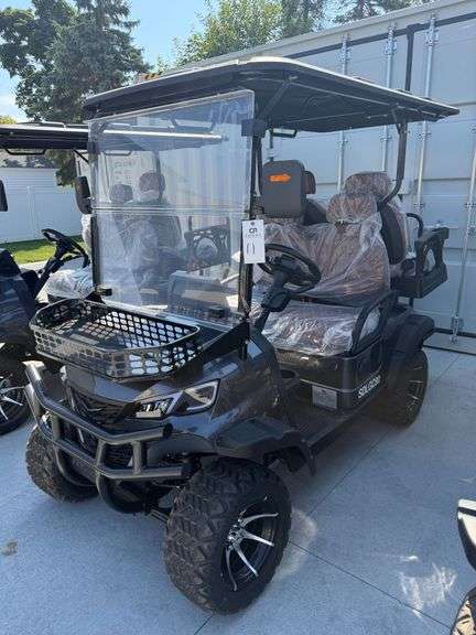 2025 IRGC80 Electric Golf Cart image