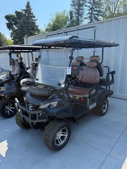2025 IRGC80 Electric Golf Cart image