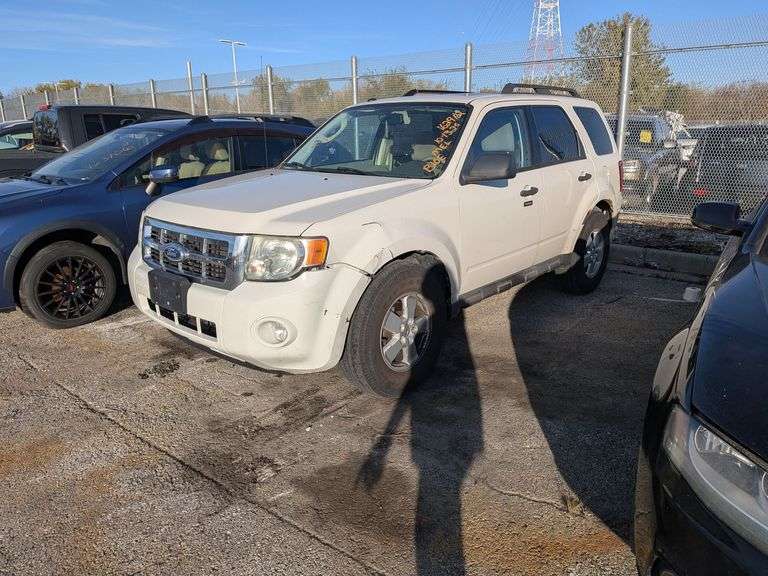 2010 FORD ESCAPE image