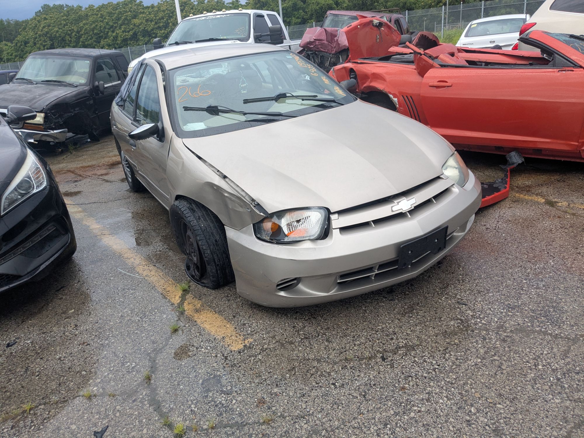 Lot image 1