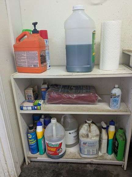Shelf and contents image