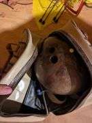 Bowling ball, bowling shoes in bag, 3 drink coolers and ashtray