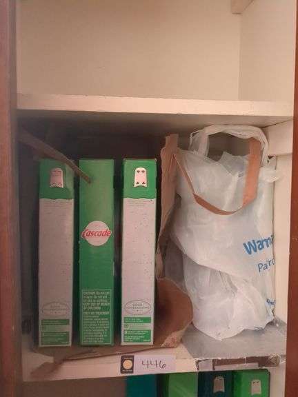 Contents of closet: detergent and misc. bathroom supplies