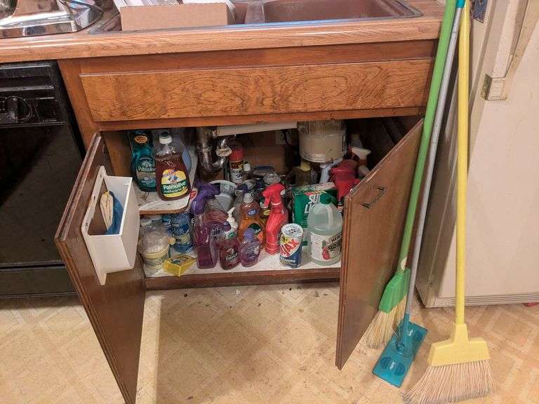 Variety of cleaning products under sink image