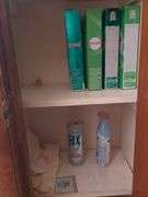 Contents of closet: detergent and misc. bathroom supplies